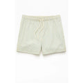 Pacsun Men'S Smiley Stripe Seersucker 4.5" Swim Trunks